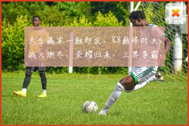 天生赢家一触即发，K8巅峰对决，战火燃尽，荣耀归来，三界争霸，谁主沉浮